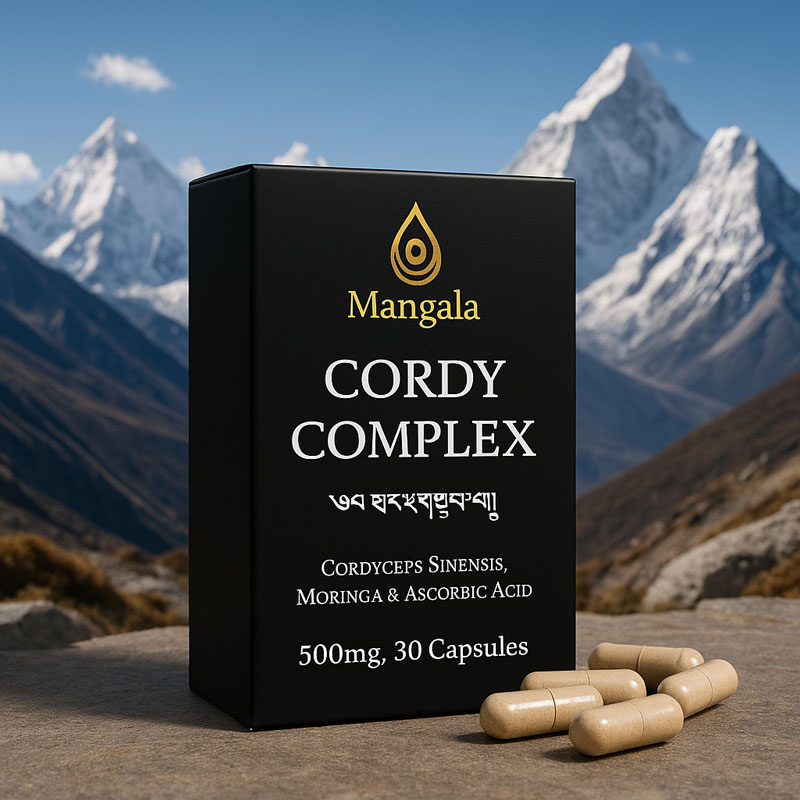 Mangala Cordycep Complex from Bhutan | Pure natural cordyceps from Bhutan